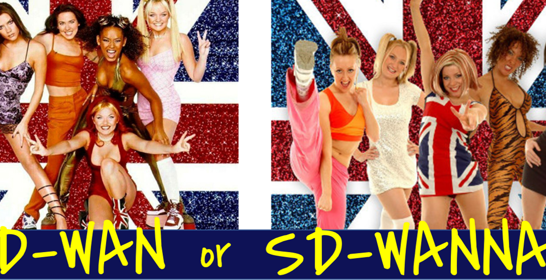 HOW TO CHOOSE AN SD-WAN PROVIDER