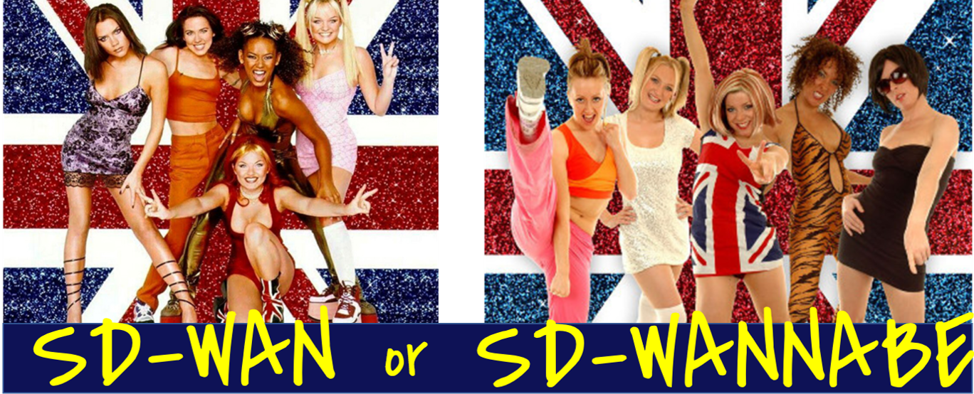 SD-WAN vs SD-WANNABE