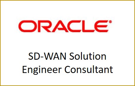 Soluciones SaSe de SDWAN Solutions